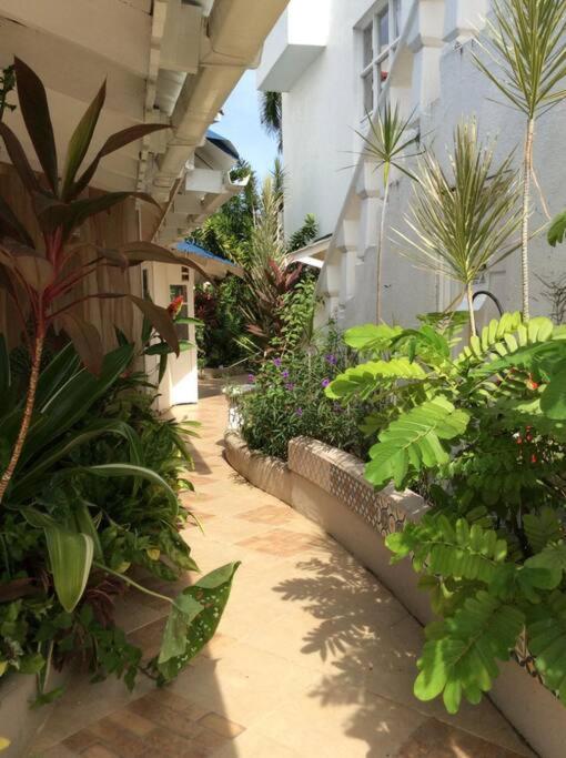 Lush Tropical Apartment Located In A 4-Star Resort Runaway Bay Eksteriør bilde